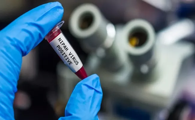 Experimental antiviral against Nipah, BSL-3 lab reach Kerala - Sakshi