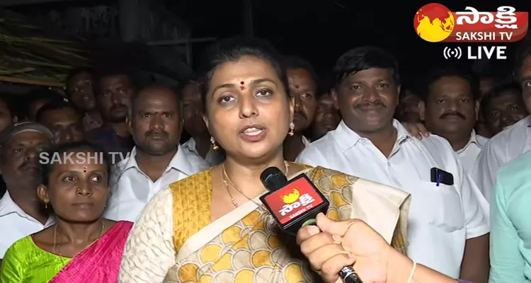 Minister Roja Shocking Comments On Nagababu And Nadendla Manohar