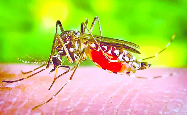 Dengue surveillance in 28 hospitals of Telangana - Sakshi
