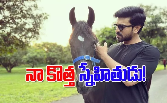 Ram Charan Shares A New Friend Of His New Horse Pic In His Style - Sakshi