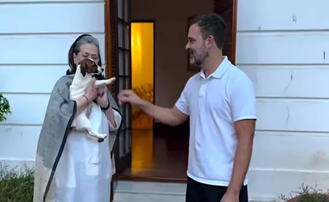 Rahul Gandhi surprises mother Sonia Gandhi with adorable puppy Noorie - Sakshi