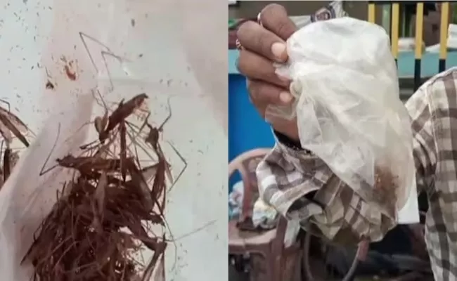 Viral: Bengal Man takes Mosquitoes To Hospital In Fear Of Dengue - Sakshi