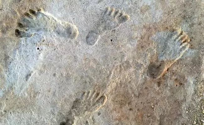 Oldest Human Footprints Found Here - Sakshi