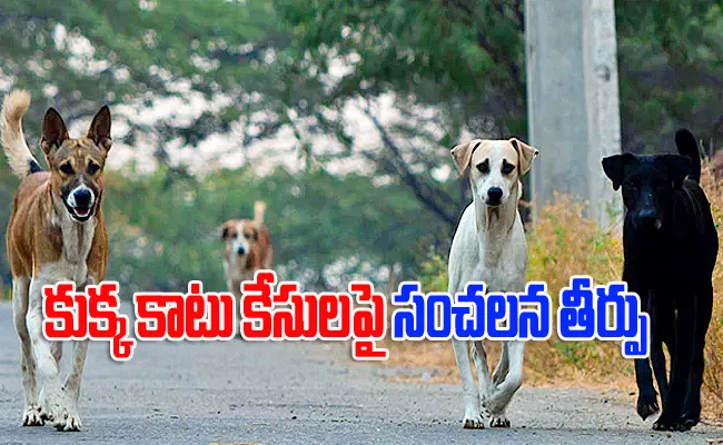 Dogbite Victims To Get 10000 For Each Teeth Mark - Sakshi