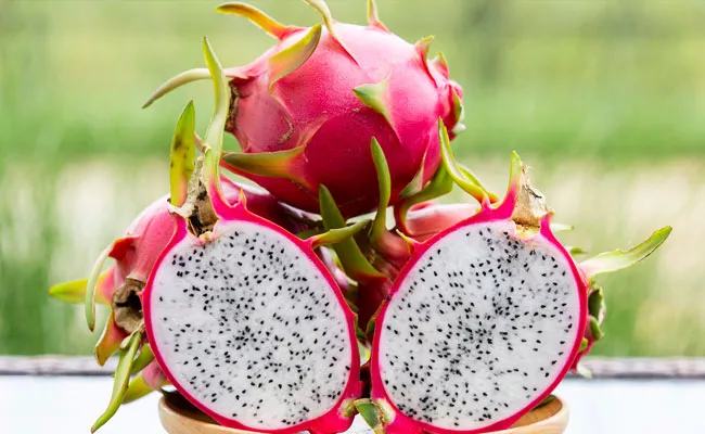 Farmers Getting Benefited With Dragon Fruit Farming - Sakshi