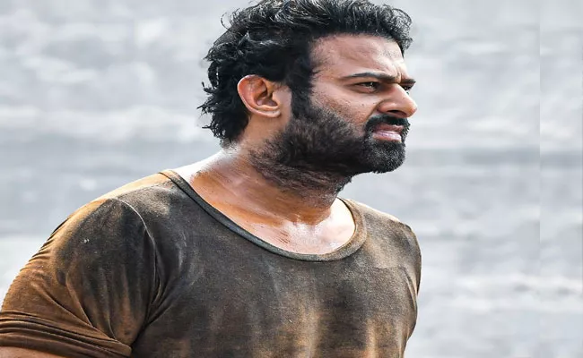 Prabhas Salaar Boxoffice Collections In Five Days Goes Viral - Sakshi
