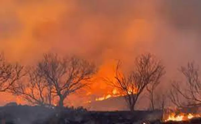 Massive wildfires burning in Texas Panhandle force evacuations - Sakshi