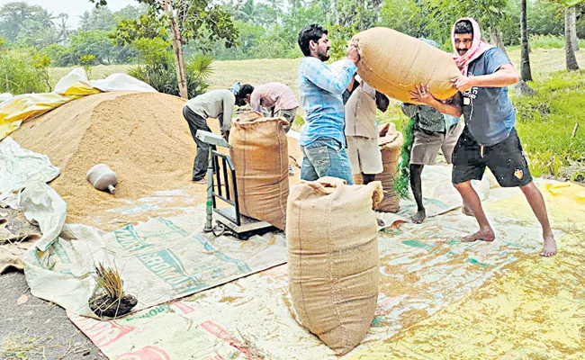 Payments for Kharif grain collection are completed within a week - Sakshi