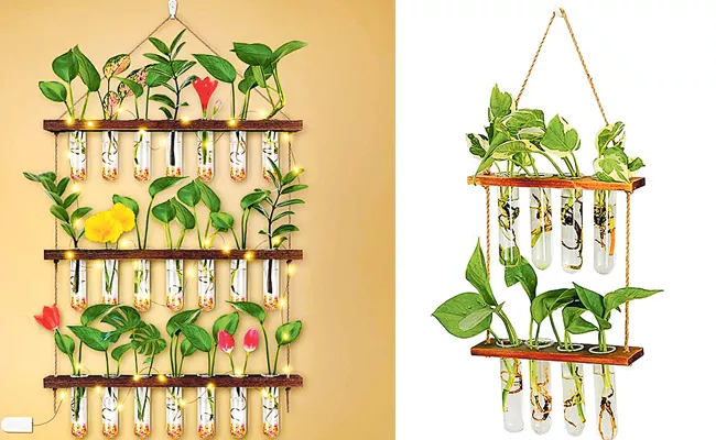 Have You Ever Tried This Test Tubes For Decoration - Sakshi