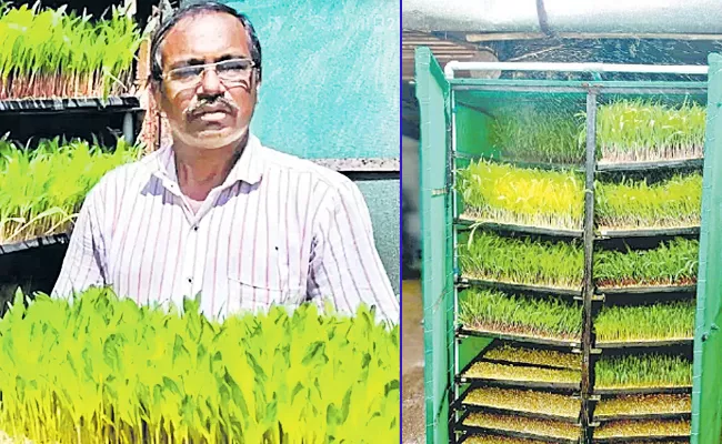 Yields With Inherited Chemical Farming - Sakshi