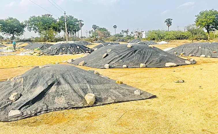 Severe delay in procurement of grain in Yadadri district