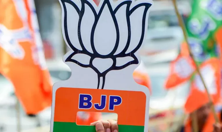 Lok Sabha Elections 2024: Will BJP Delhi Big Experiments Succeed