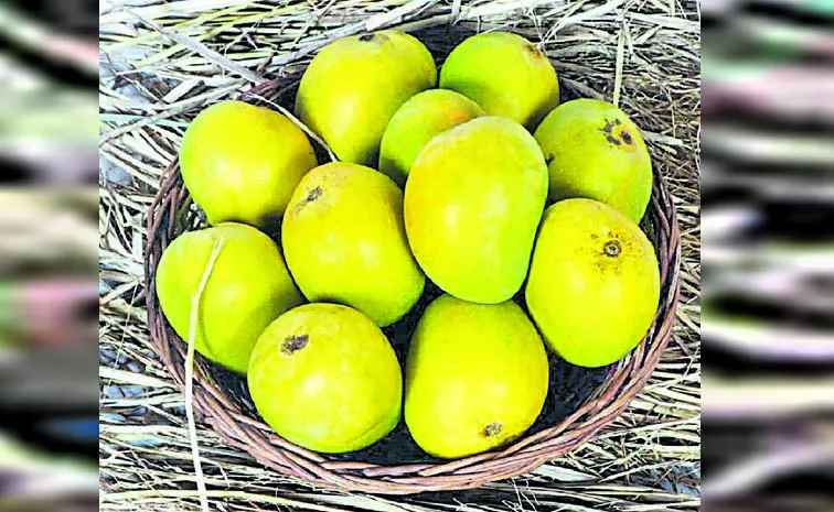 Sweet Coconut Mango