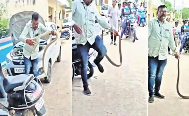 Snake Catcher to Snake Bite in Karnataka