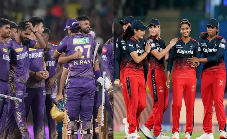 2024 WPL Final And 2024 IPL Final Has Very Similar Equations In Terms Of Figures And Captains