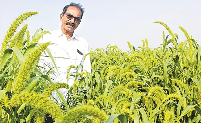 How To Get Rid Of Weeds Today Sagubadi News