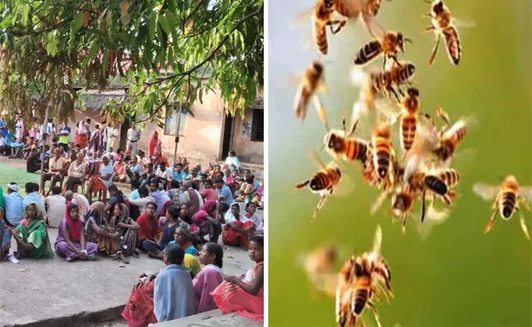 Bees Attack on Voters in Jashpur