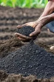Training On Biochar Compost And Its Uses And Instructions