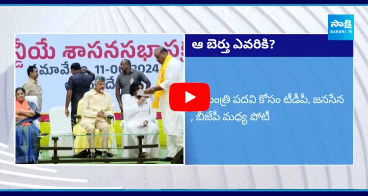 TDP Janasena And BJP Leaders Expecting Minister Post In Chandrababu Cabinet