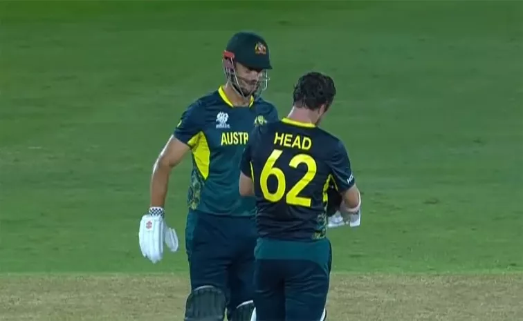 T20 World Cup 2024: Australia Beat Scotland By 5 Wickets, England Qualified To Super 8s
