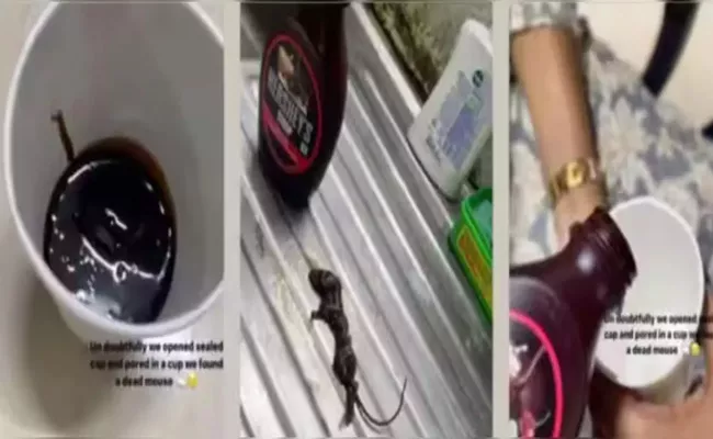 Woman Finds Dead Mouse In Hershey Chocolate Syrup Shares Shocking Video