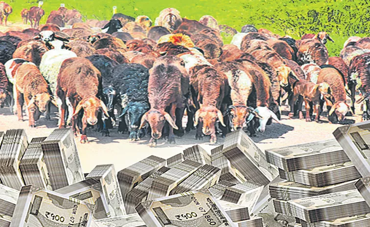 ACB Confirmation on Sheep Distribution Scam