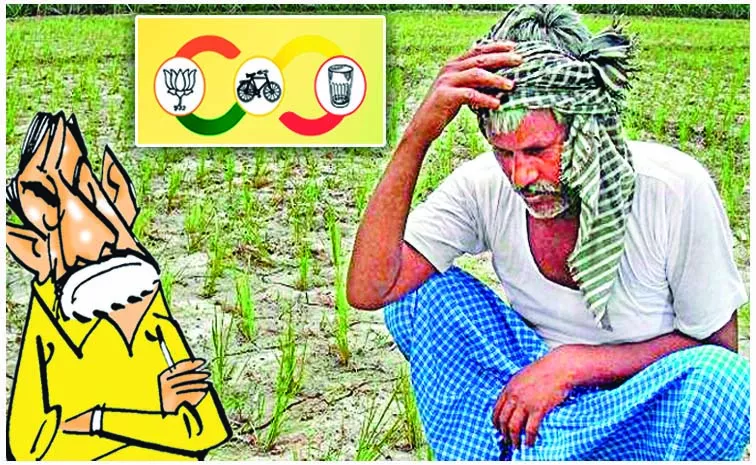farmers waiting for government help: andhra pradesh