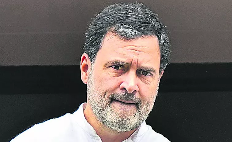 Rahul meets LS Speaker says reference to Emergency could have been avoided
