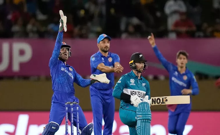 T20 WC: Afghanistan shock hapless New Zealand for historic win in Guyana