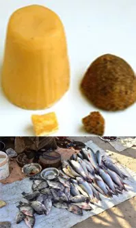 Mrigasira karthi 2024: What Is Mrigasira Karthi Why People Eat Fish