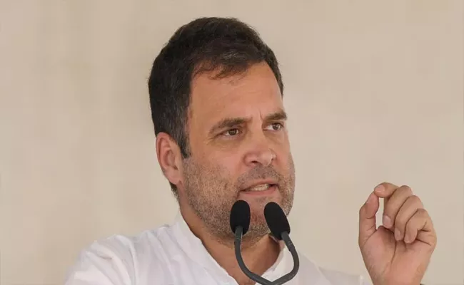Rahul Gandhi Citizenship Issue: Allahabad HC Serious Over Lawyer Incessant Arguments