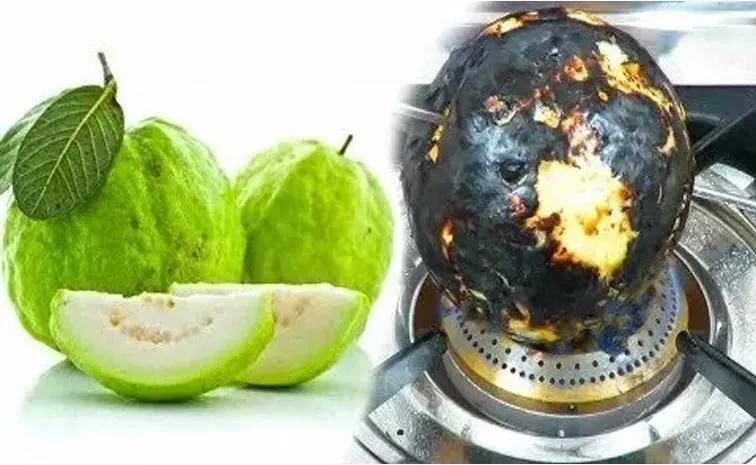 Roasted Guava Or Amrood Can Cure Cough