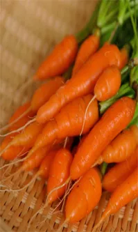 New Research Shows Baby Carrots Helps Improve Your Skin Health