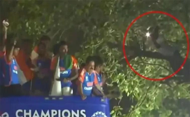 Man Sitting On The Tree Scared Indian Players During T20 World Cup 2024 Winning Parade