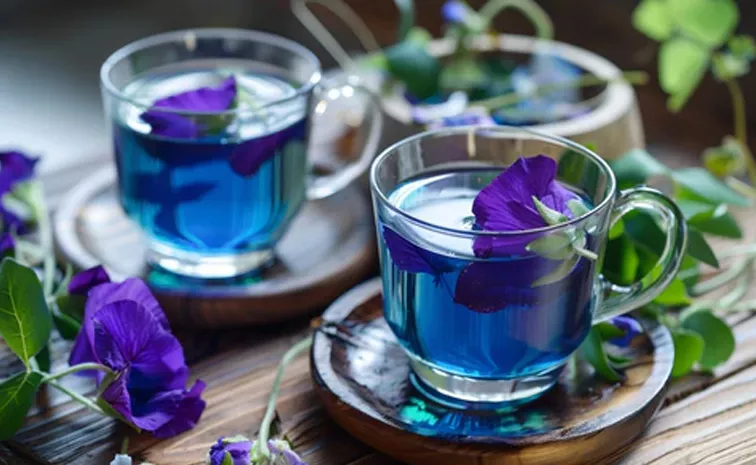 Unbelievable Health Benefits Of  blue tea with  Butterfly Pea Flower 
