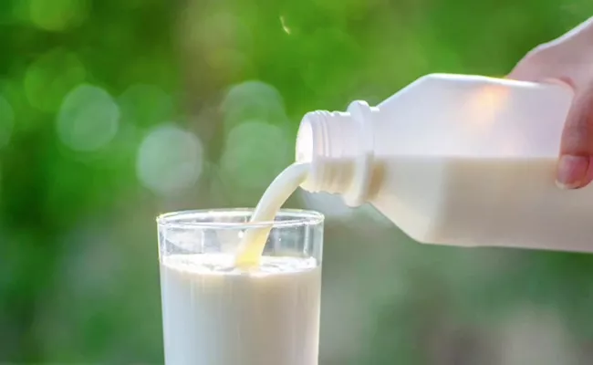 Pasteurized milk safe from bird flu fda