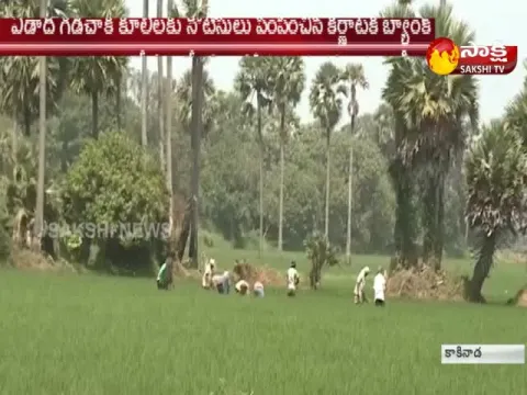 - Sakshi