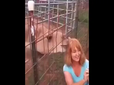 Viral Video: Camel Chews Off Woman Hair