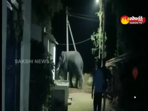 Elephants Hulchul In Parvathipuram Manyam District