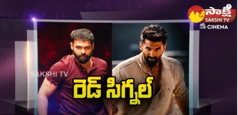 Ram Pothineni Red Movie Remake Gumraah Flop In Bollywood
