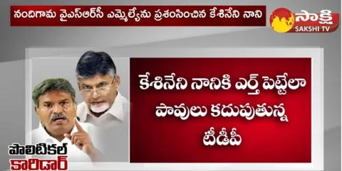 Kesineni Nani Comments On TDP