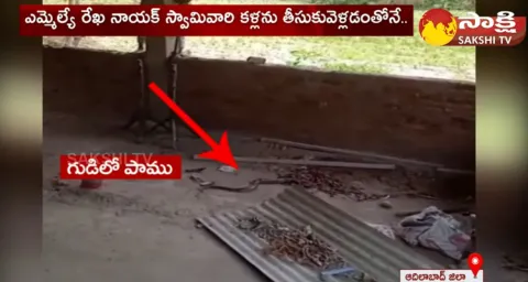 Snake Hulchul In Hanuman Temple At Adilabad District