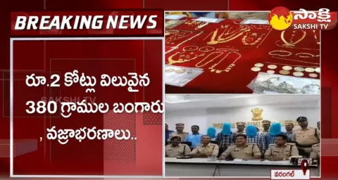 Inter State Theft Gang Arrested In Warangal 