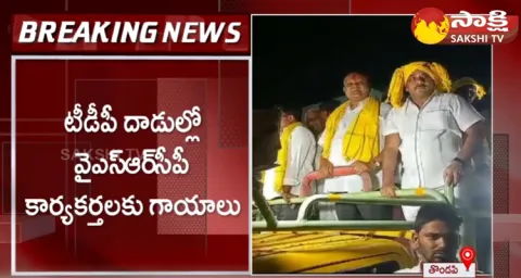 TDP Leaders Overaction In Thondapi Village Palnadu District