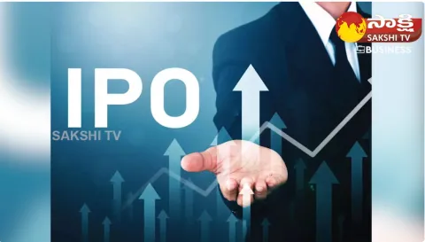 Ratan Tata Nikhil Kamath Backed Bluestone Jewellery Plans Rs 2000 Crore IPO Says Report