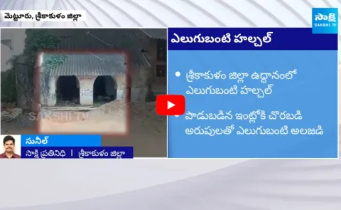 Bear Hulchul in Uddanam Srikakulam