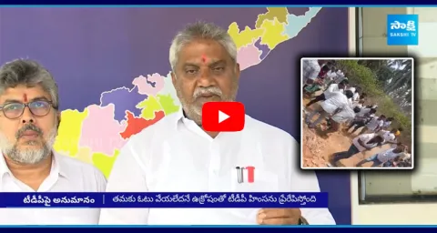 YSRCP Leaders Complaint To EC On TDP Leaders
