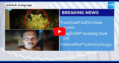 Cheetah Hulchul In Mahanandi