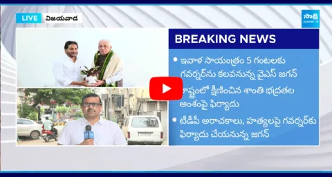 YS Jagan To Meet Governor Abdul Nazeer Over TDP Attacks