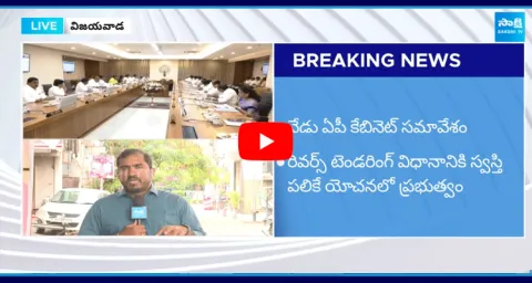 AP Cabinet Meeting On Reverse Tendering